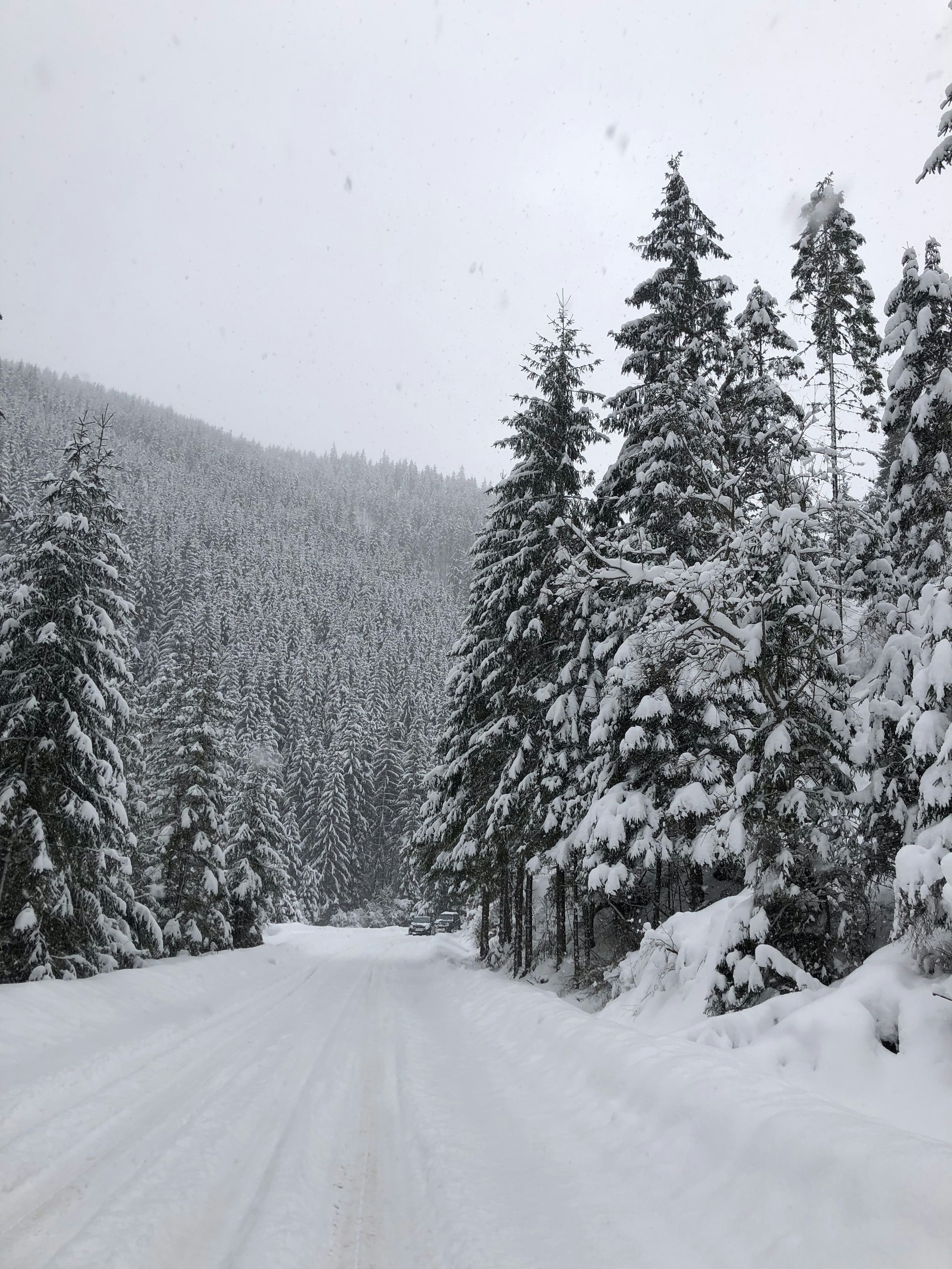 Photo by dariaruxandra