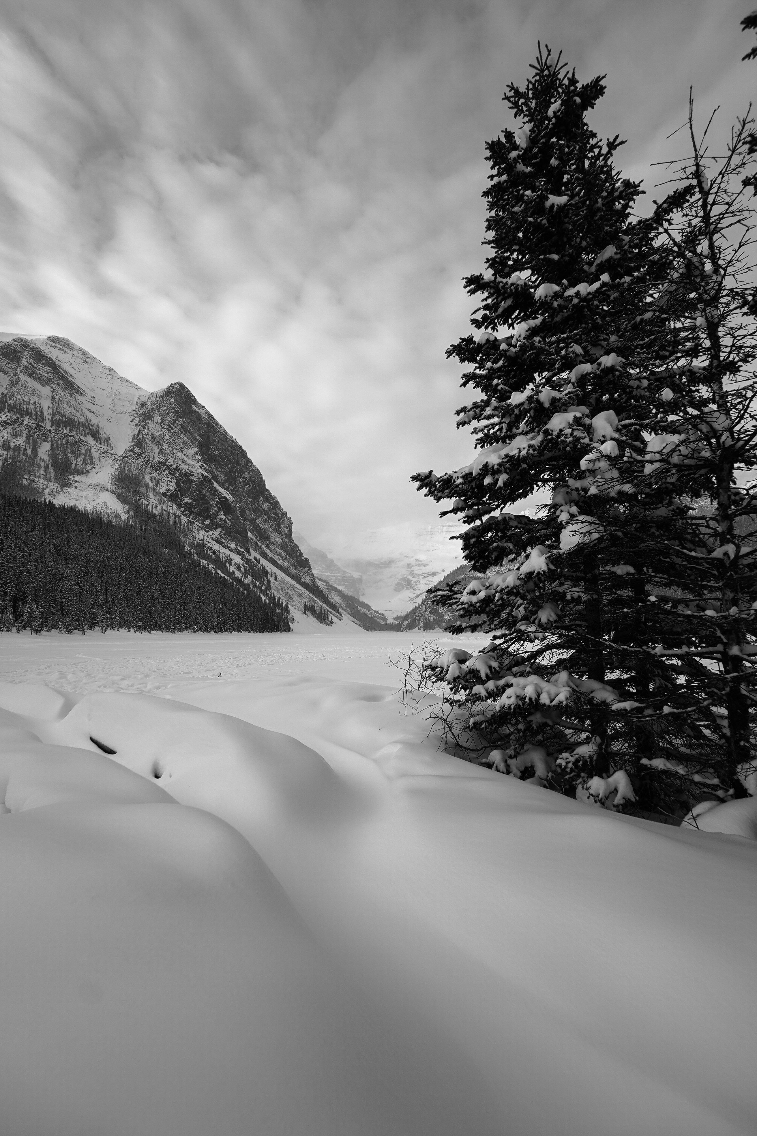 Photo by matkrizmanich