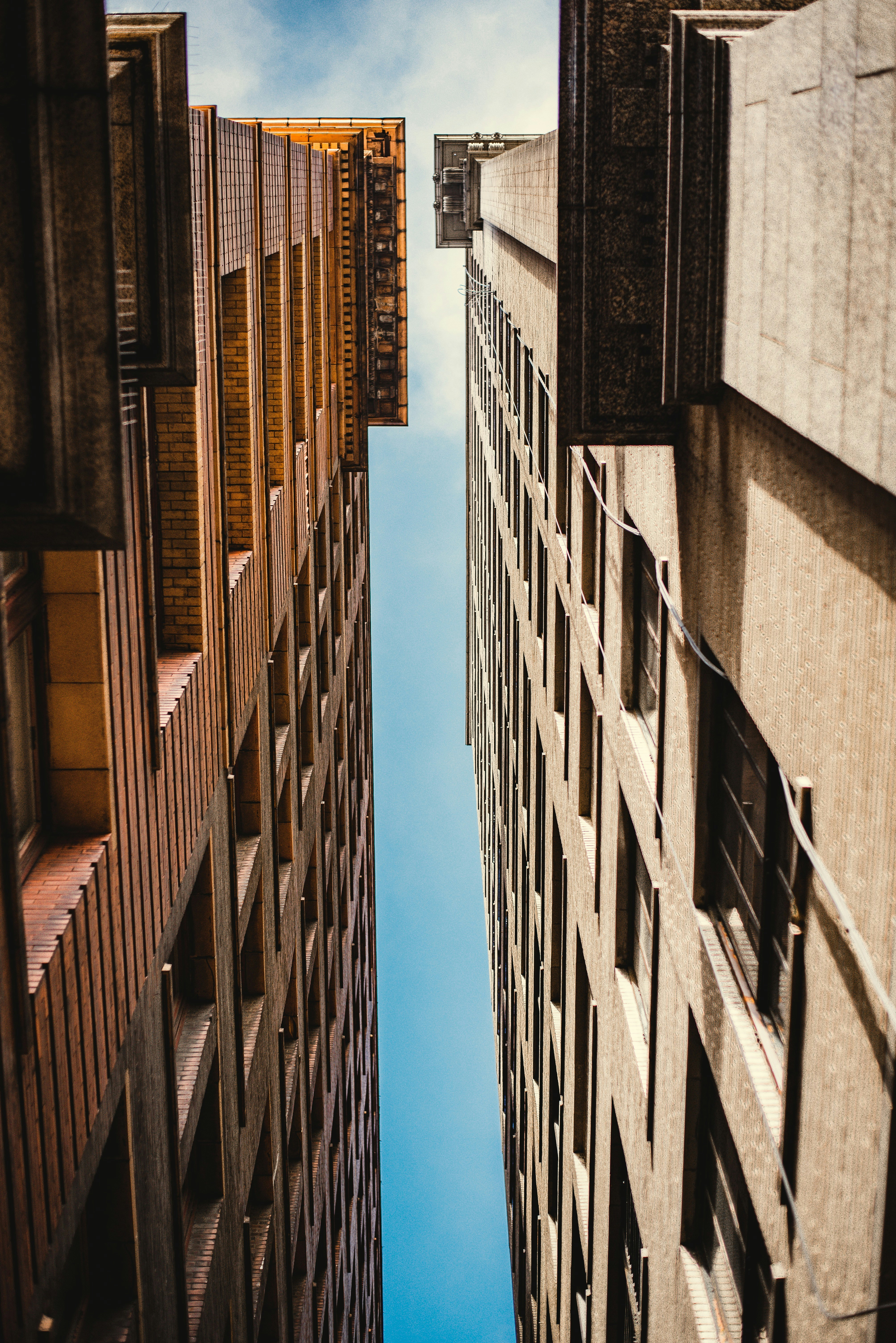 Photo by lightrisephoto