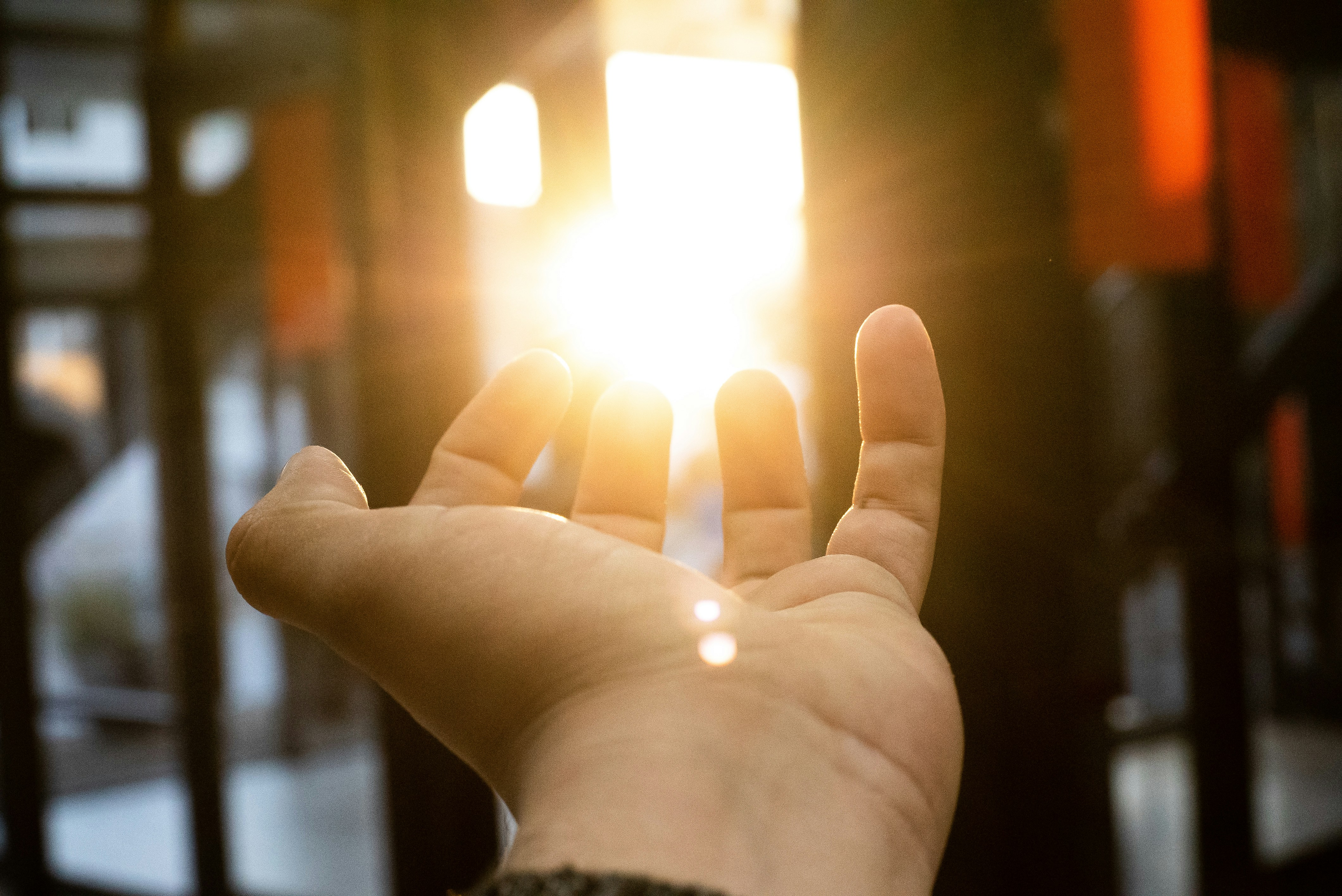 Photo by orlandodominguezfotografia