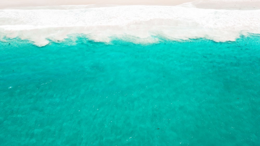 aerial photography of seashore