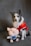 A dog with a black and white fur pattern is dressed in a red outfit with white trim, reminiscent of a festive costume. Next to the dog is a plush toy resembling a cartoon pig, wearing a blue outfit with suspenders. The background is plain and gray.