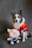 A dog with a black and white fur pattern is dressed in a red outfit with white trim, reminiscent of a festive costume. Next to the dog is a plush toy resembling a cartoon pig, wearing a blue outfit with suspenders. The background is plain and gray.