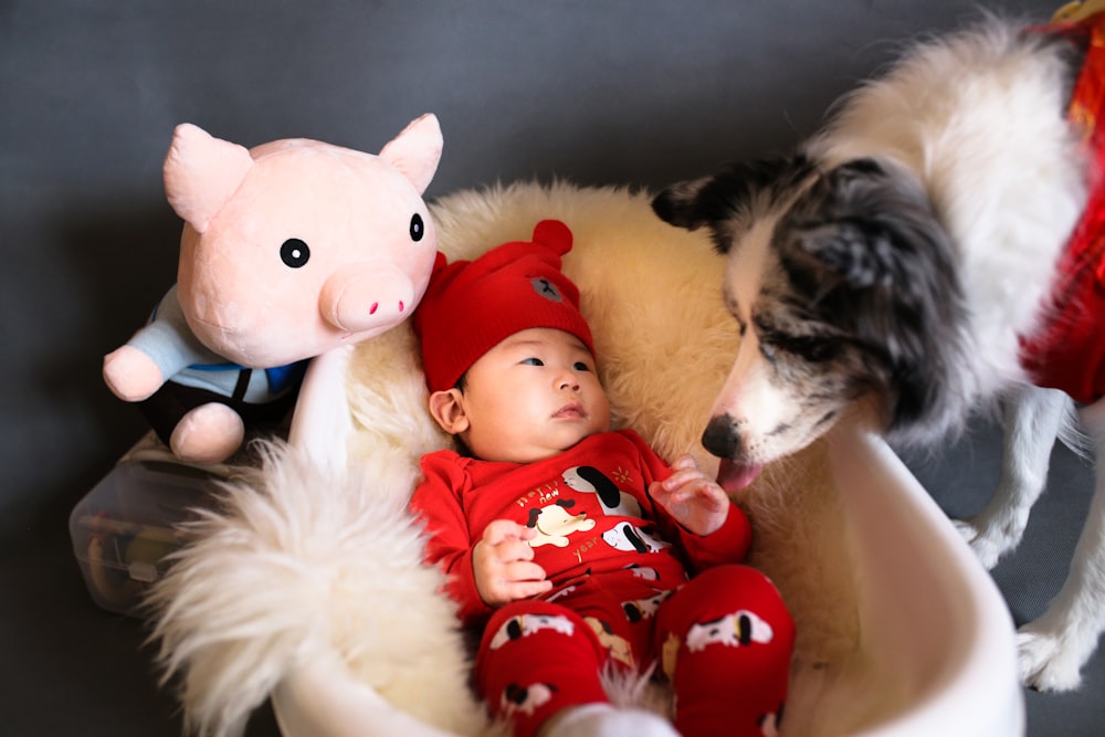 baby in bassinet with pig plush toy and white-and-black dog