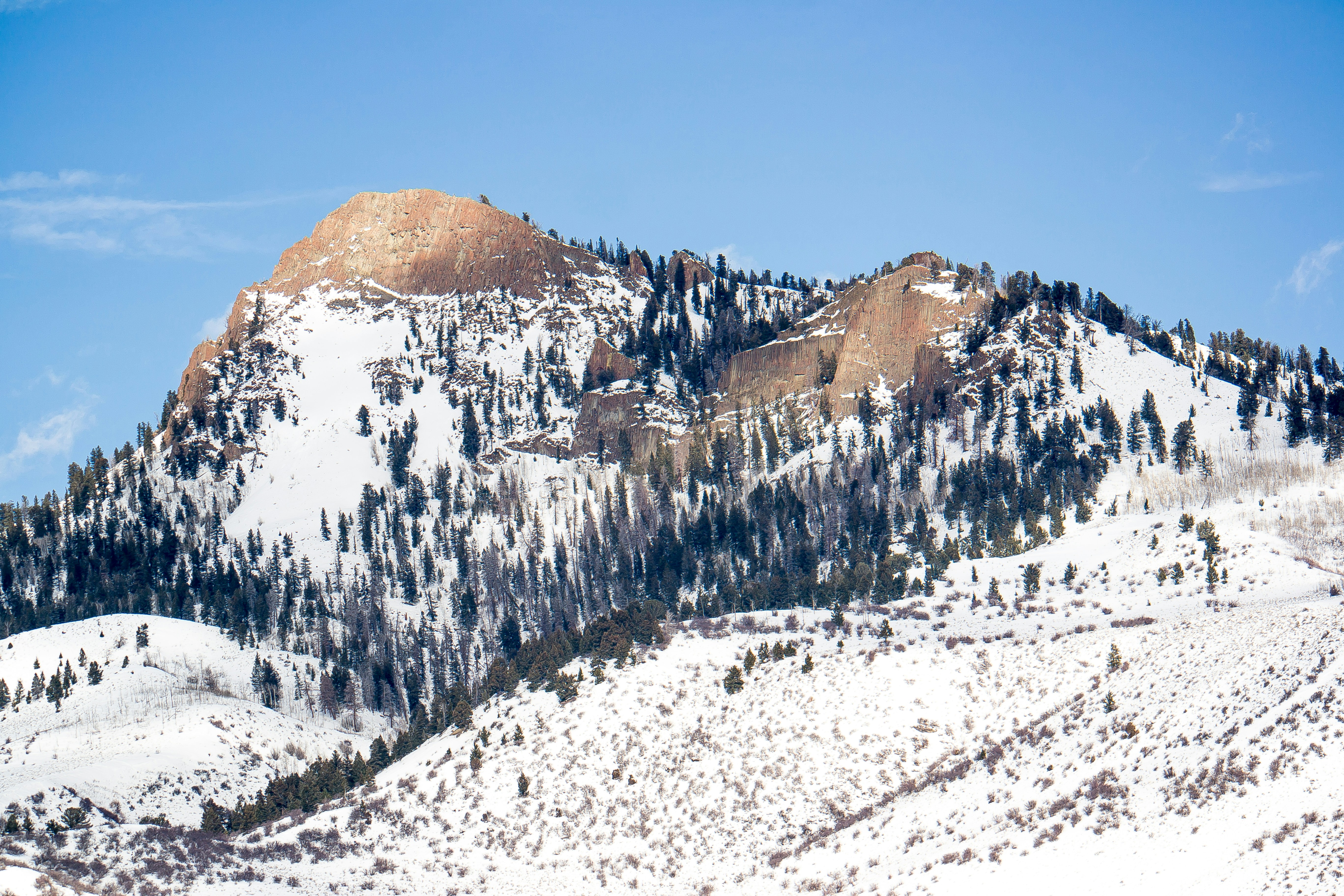 Photo by i_grantwishs