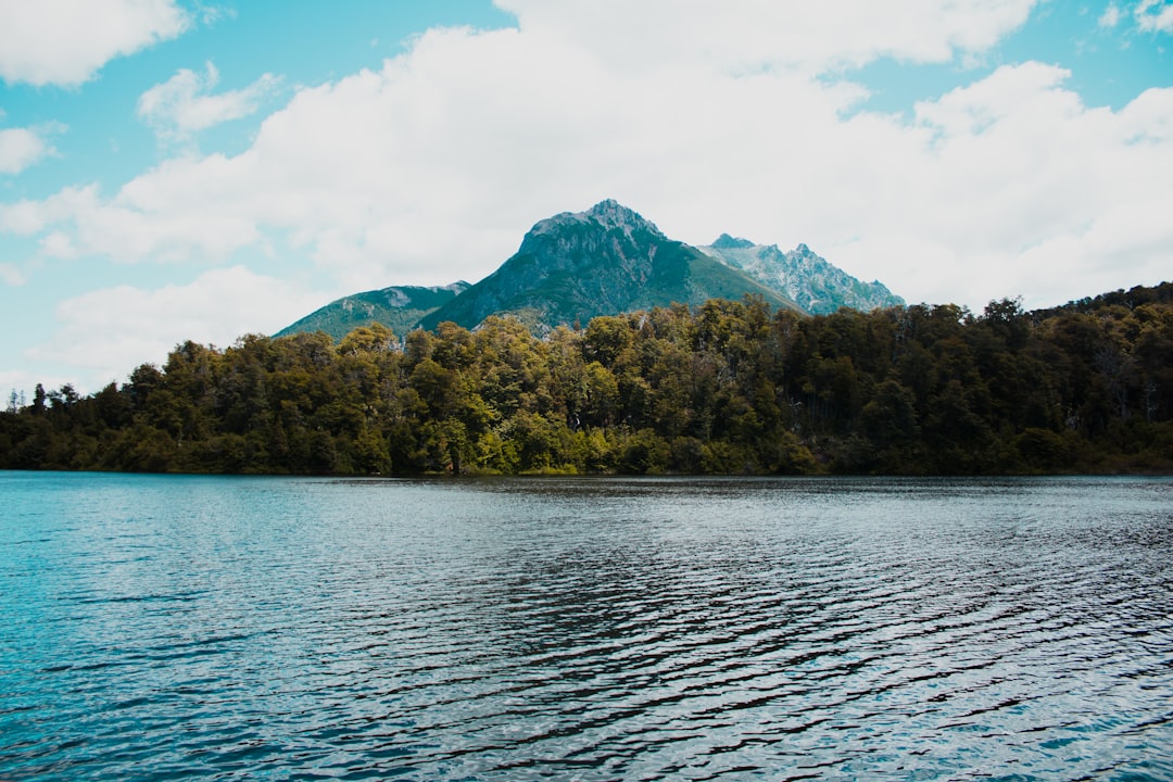 calm body of water near jungle during daytime