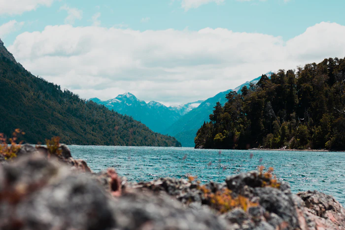 Hidden Attractions