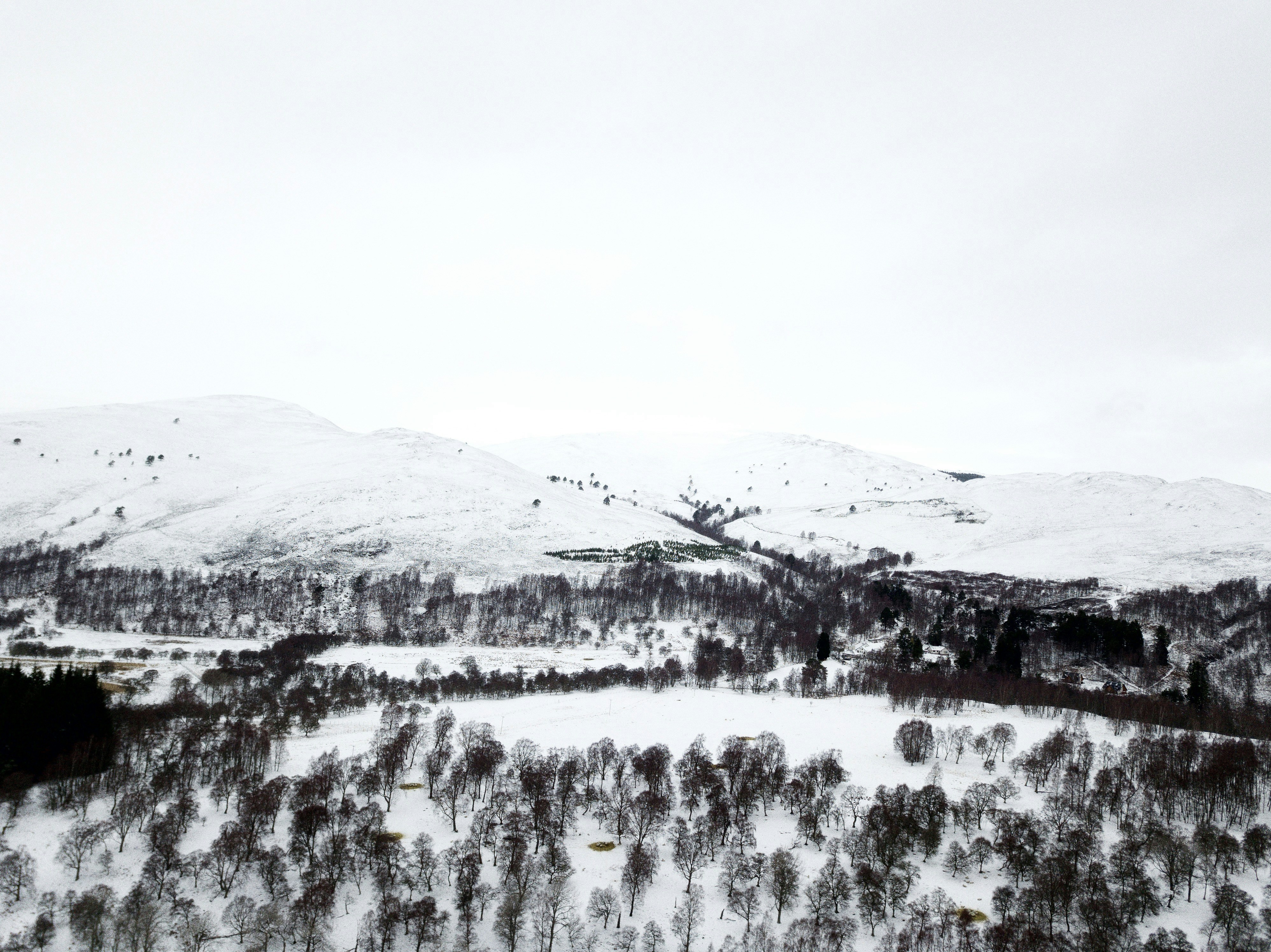 Photo by anniespratt