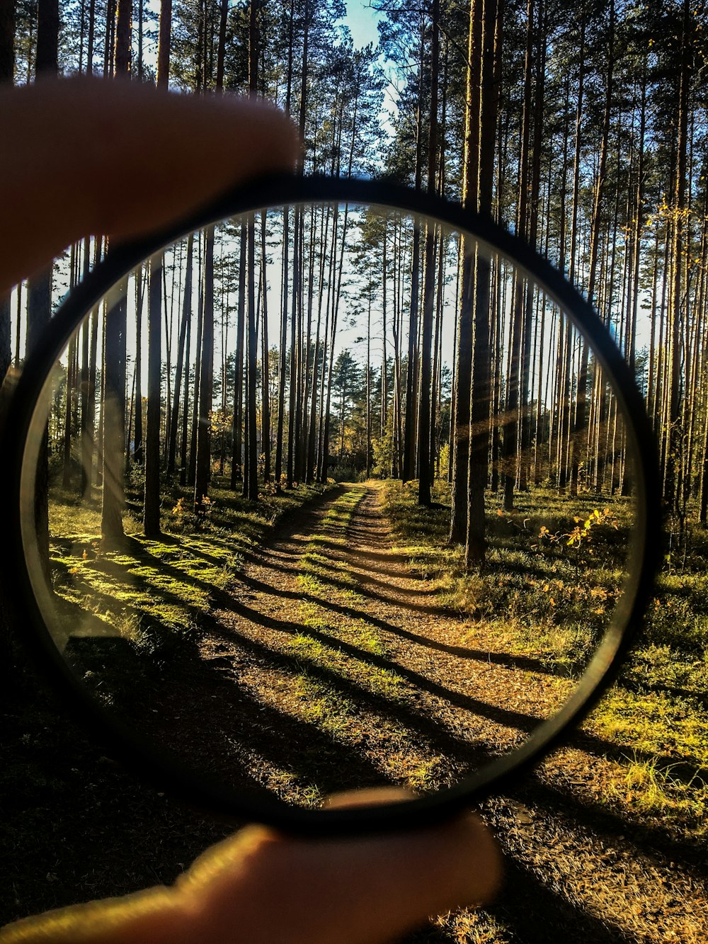 person holding round black-framed camera lens