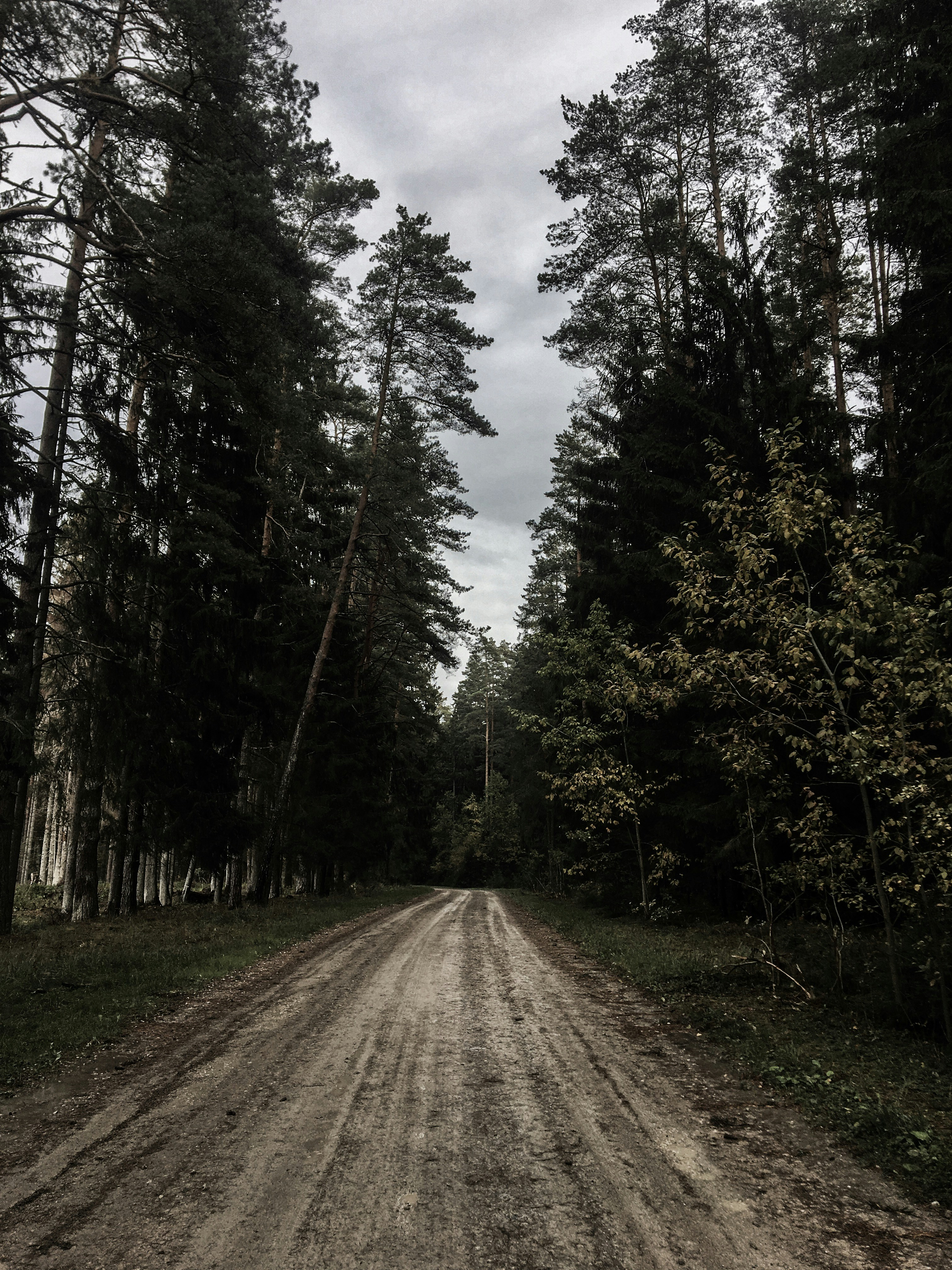 Photo by erikkaha