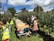 A group of people are harvesting apples in an orchard, wearing high-visibility vests. Large wooden crates are loaded on a cart, and a small green vehicle is parked nearby. The orchard is lush with neat rows of apple trees.
