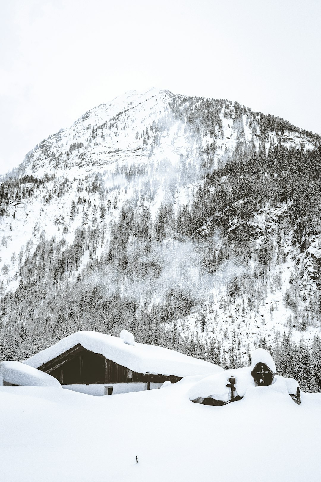 house coated with snow