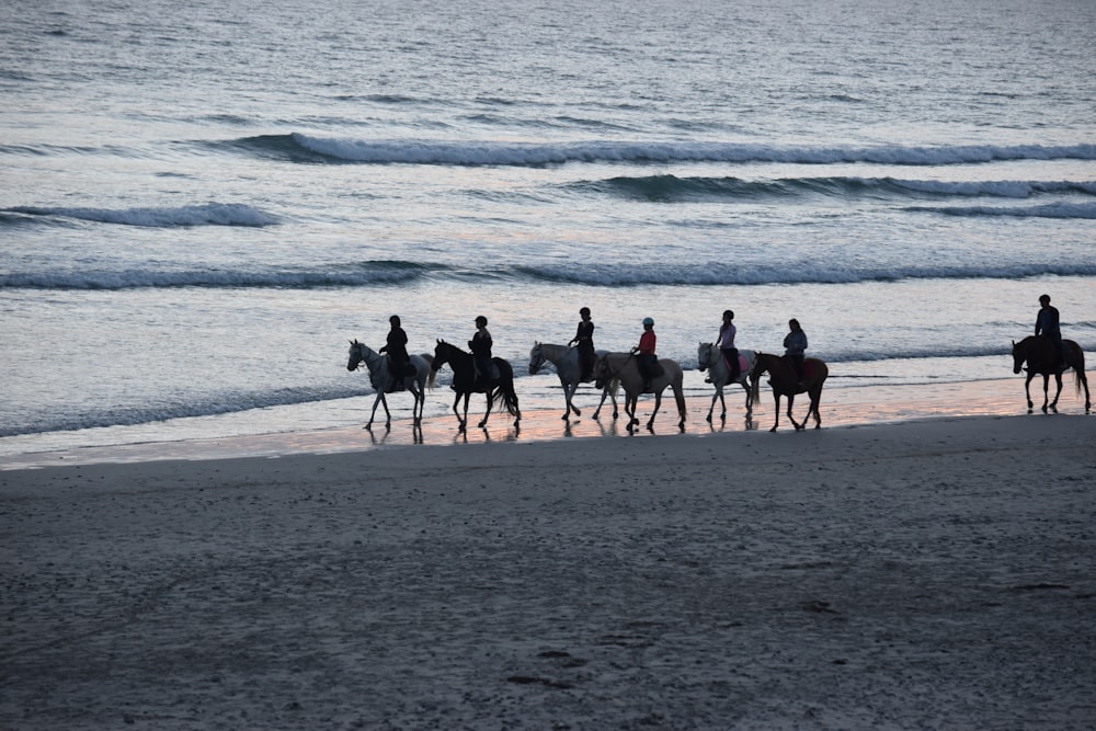 people riding horses near shore