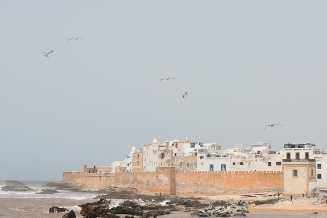 A coastal town with a historic feel, featuring old white and beige buildings along a fortified wall by the sea. Several seagulls are flying overhead, and waves crash against the rocky shore.