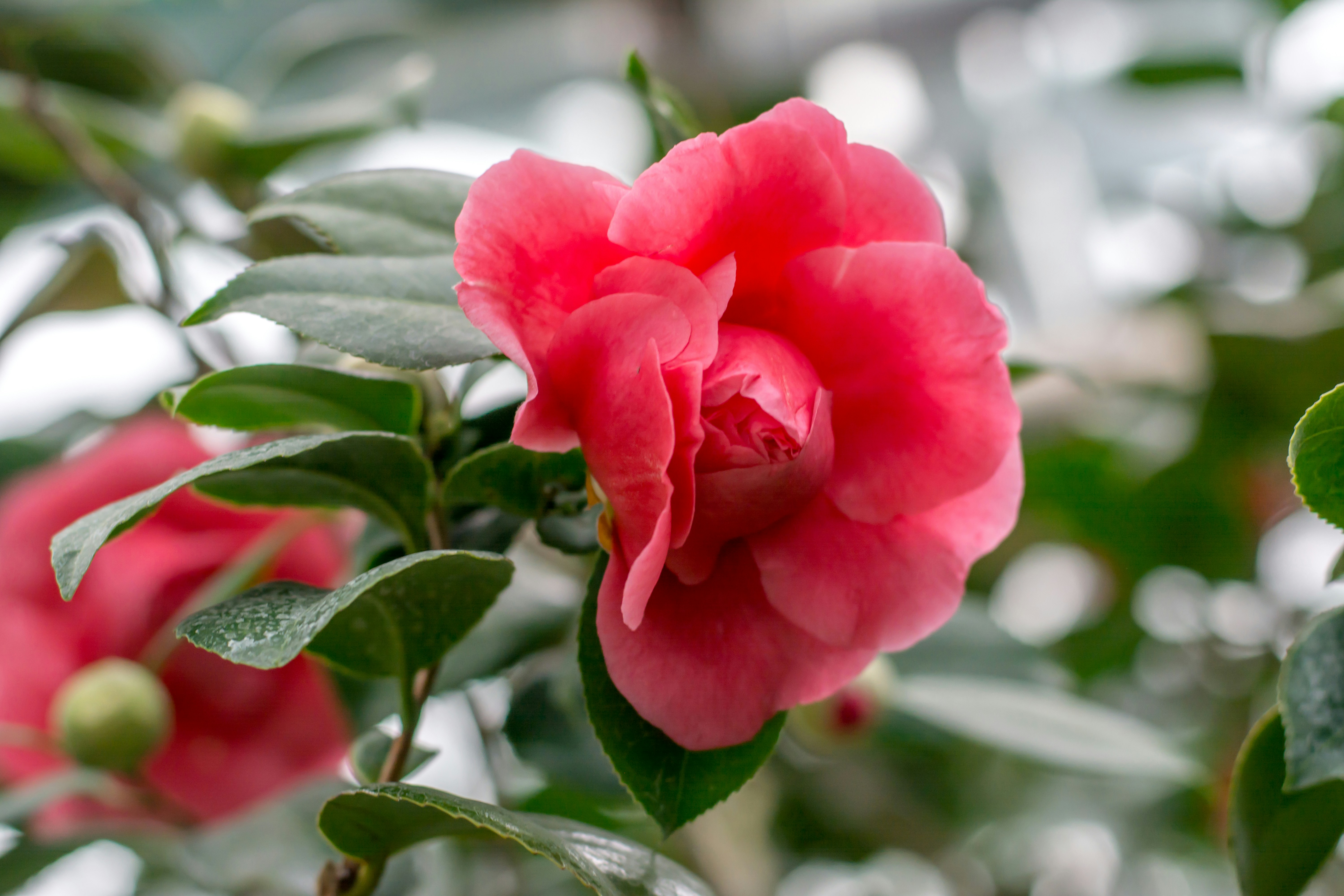 Photo by eugenivy_now