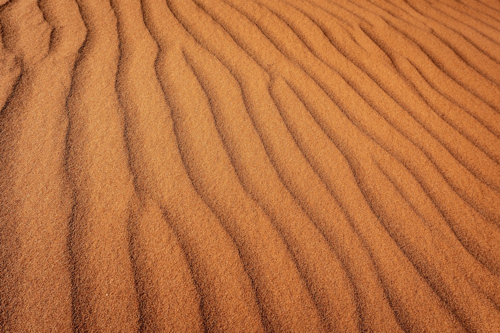 terra del dessert