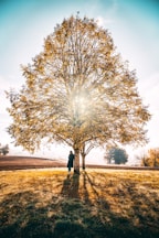 woman leaning beside tree during daytime