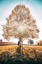 woman leaning beside tree during daytime