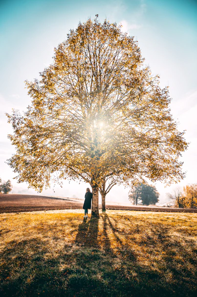woman leaning beside tree during daytime