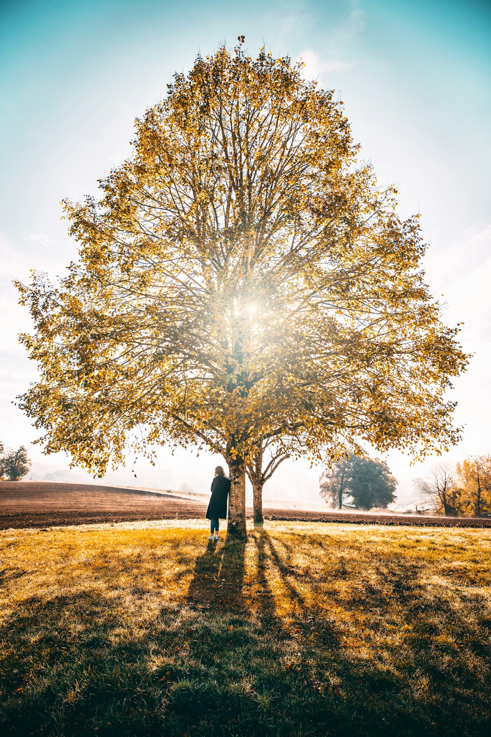 woman leaning beside tree during daytime