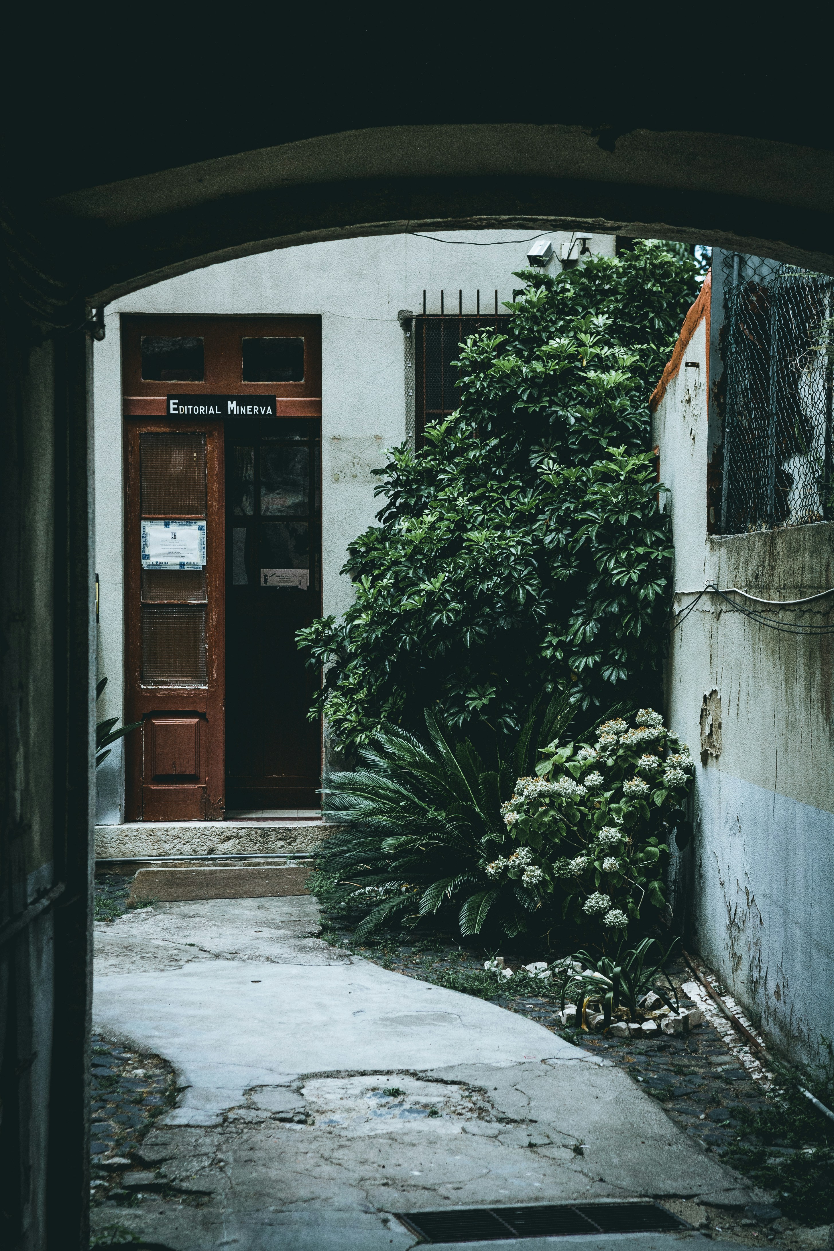 Photo by thestreetsmoment