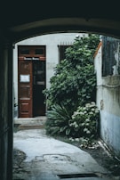 A narrow pathway leads to a door labeled 'Editorial Minerva'. The door is surrounded by lush green plants and shrubs. Part of the building's exterior, featuring a window and a section of the wall, is visible.