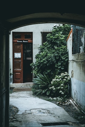 A narrow pathway leads to a door labeled 'Editorial Minerva'. The door is surrounded by lush green plants and shrubs. Part of the building's exterior, featuring a window and a section of the wall, is visible.