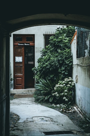 A narrow pathway leads to a door labeled 'Editorial Minerva'. The door is surrounded by lush green plants and shrubs. Part of the building's exterior, featuring a window and a section of the wall, is visible.