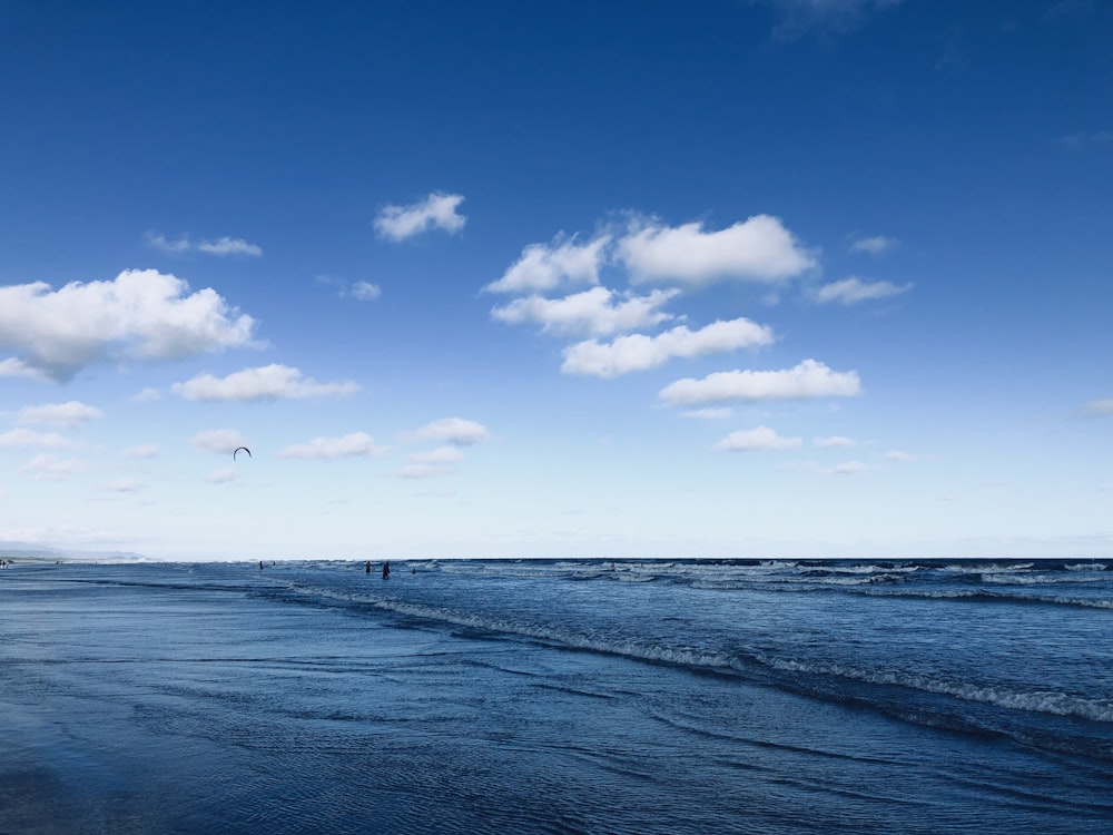 people standing on shore during daytime