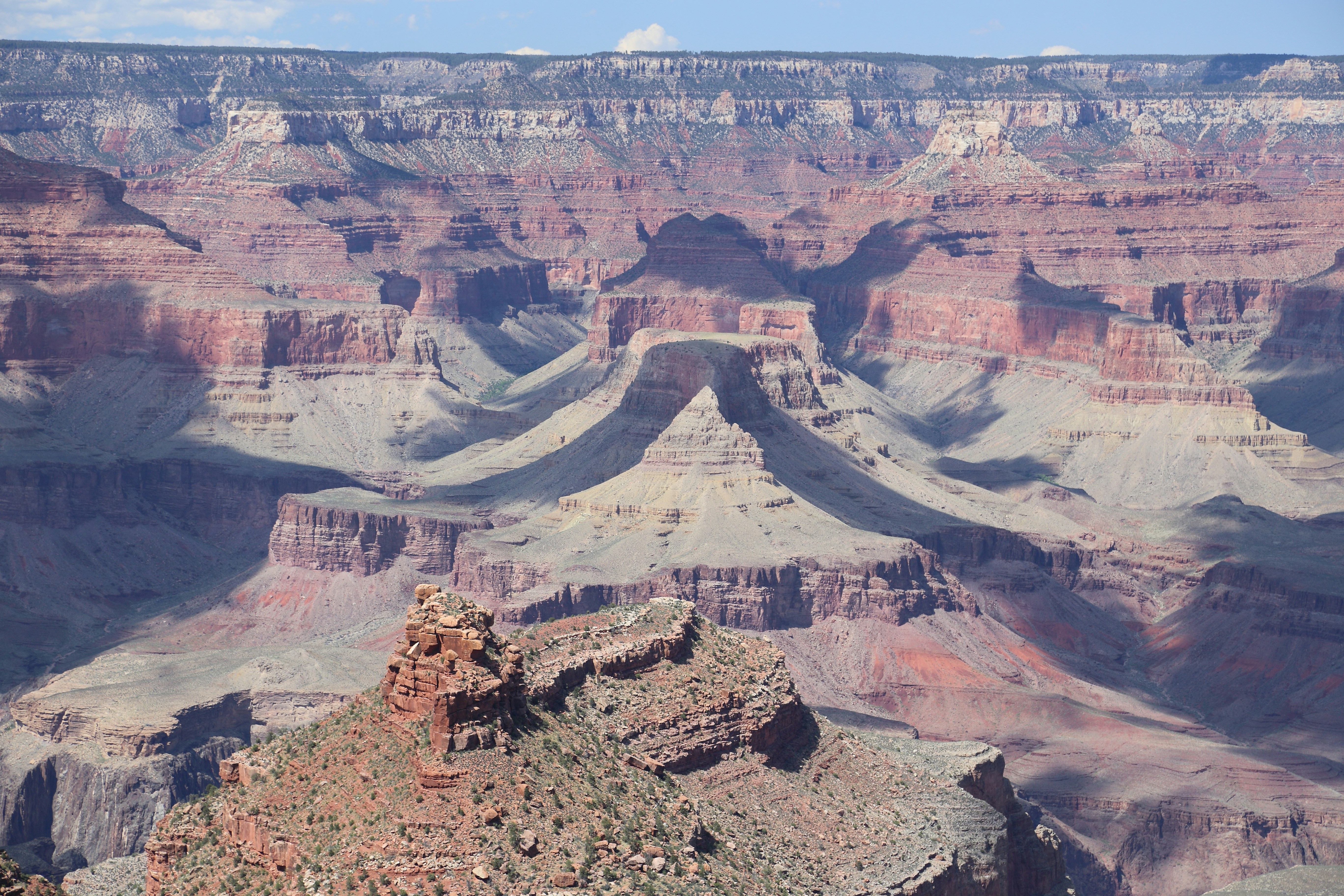 Photo by vidophotography