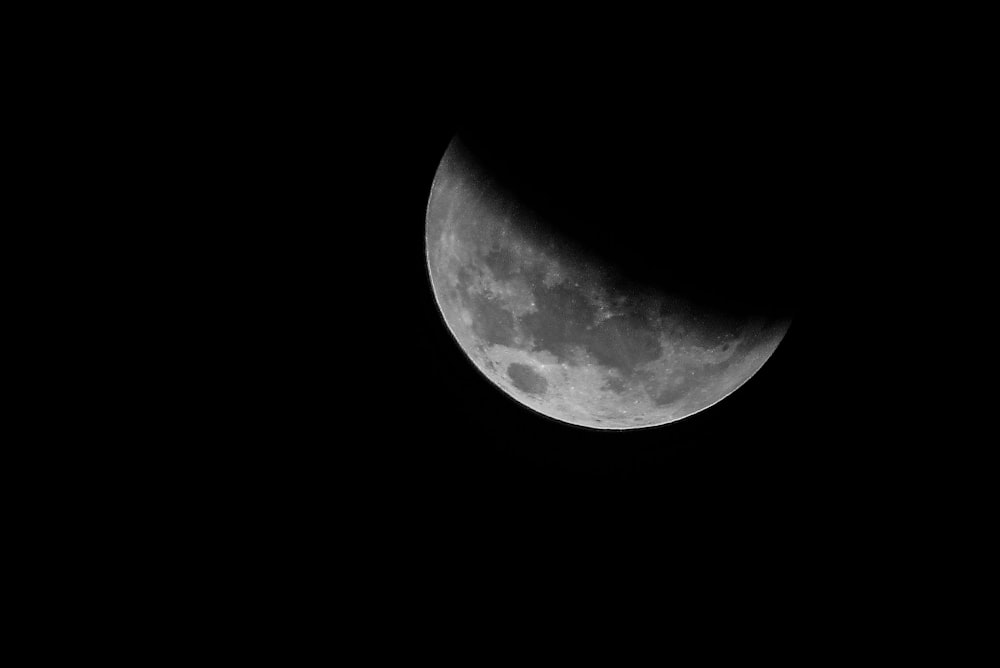 closeup photography of Earth's moon