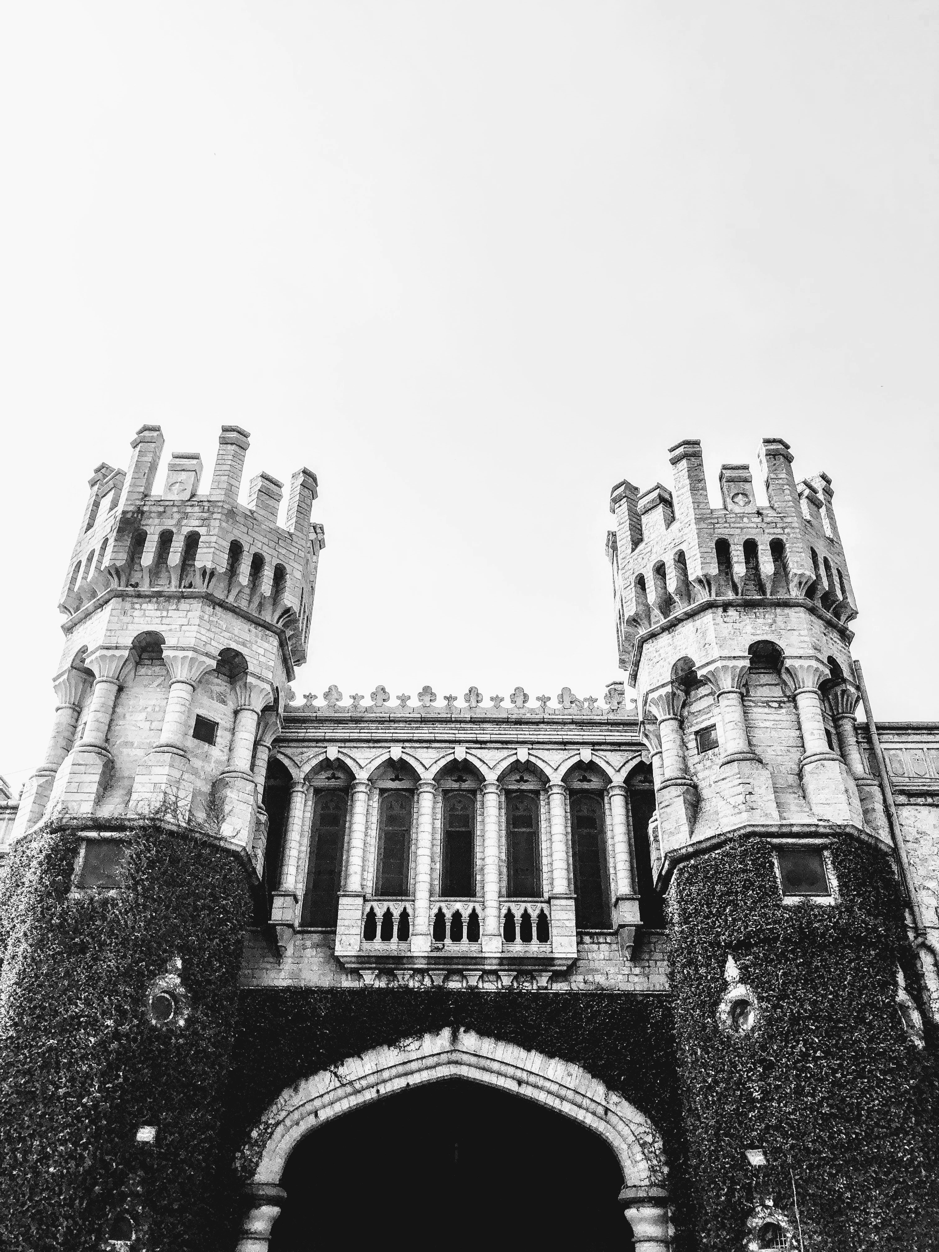 Baron Castle château facade, historic stone architecture, ivy-covered walls, overcast sky, deep shadows
