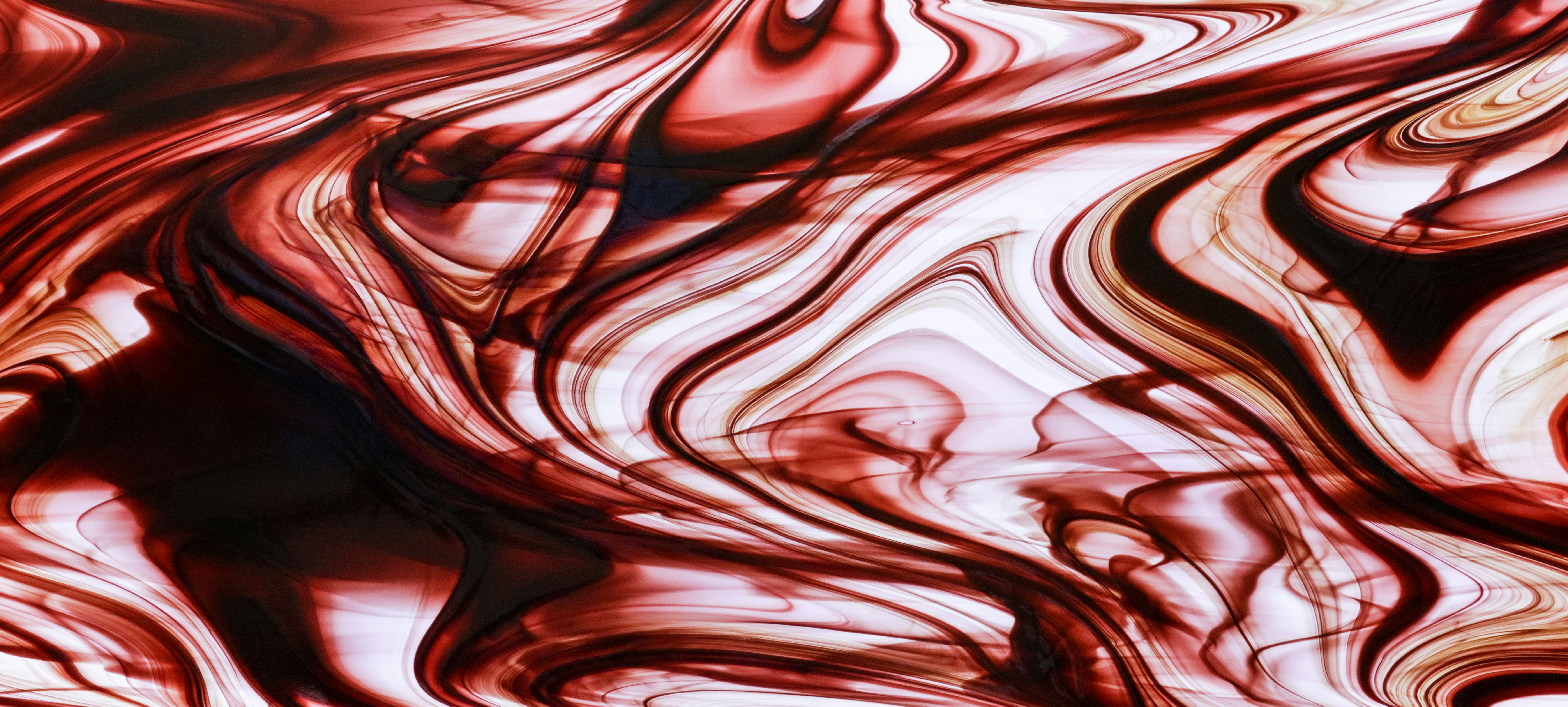 Photo by wilhelmgunkel