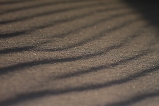 Soft shadows create a pattern across a textured surface that resembles sand, with a warm and muted lighting enhancing the grainy texture.