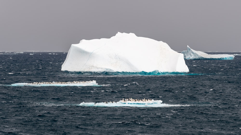 glaciers during daytime