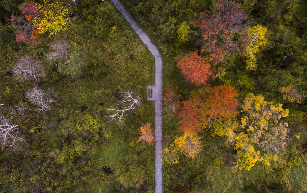 an aerial view of a road surrounded by trees