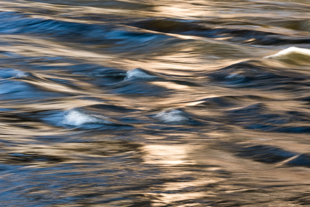 body of water during daytime