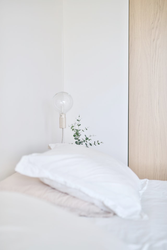 Backflow Installation Example