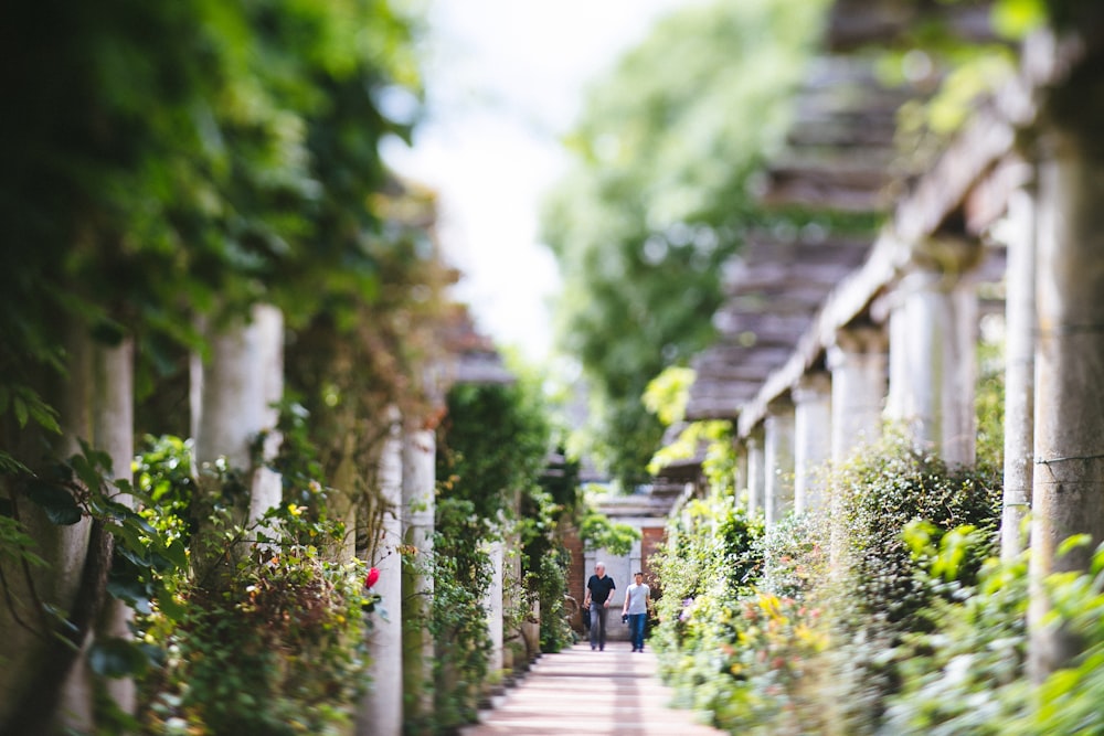 two people walking on hallway between green plants