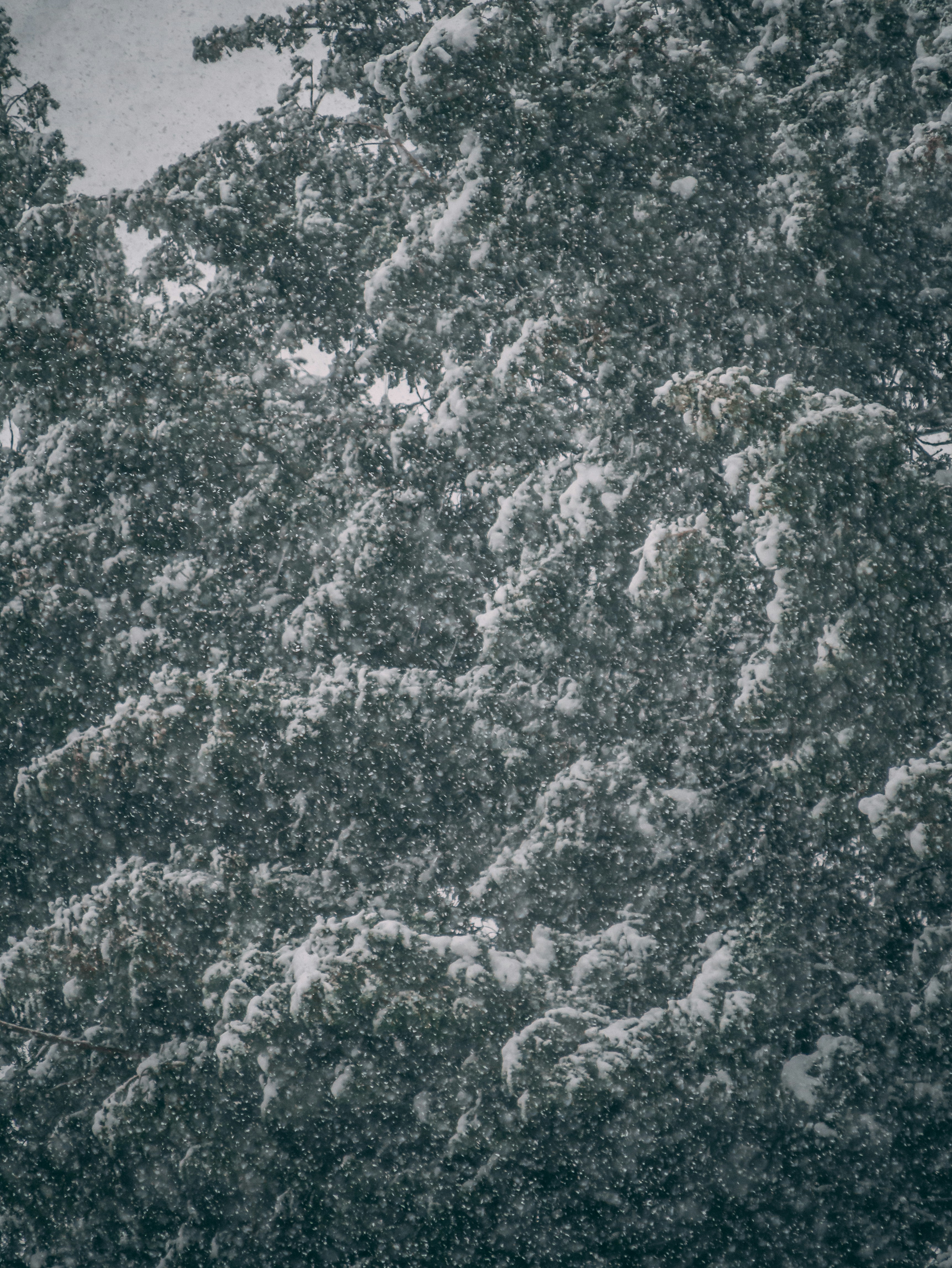 Photo by mattseymour