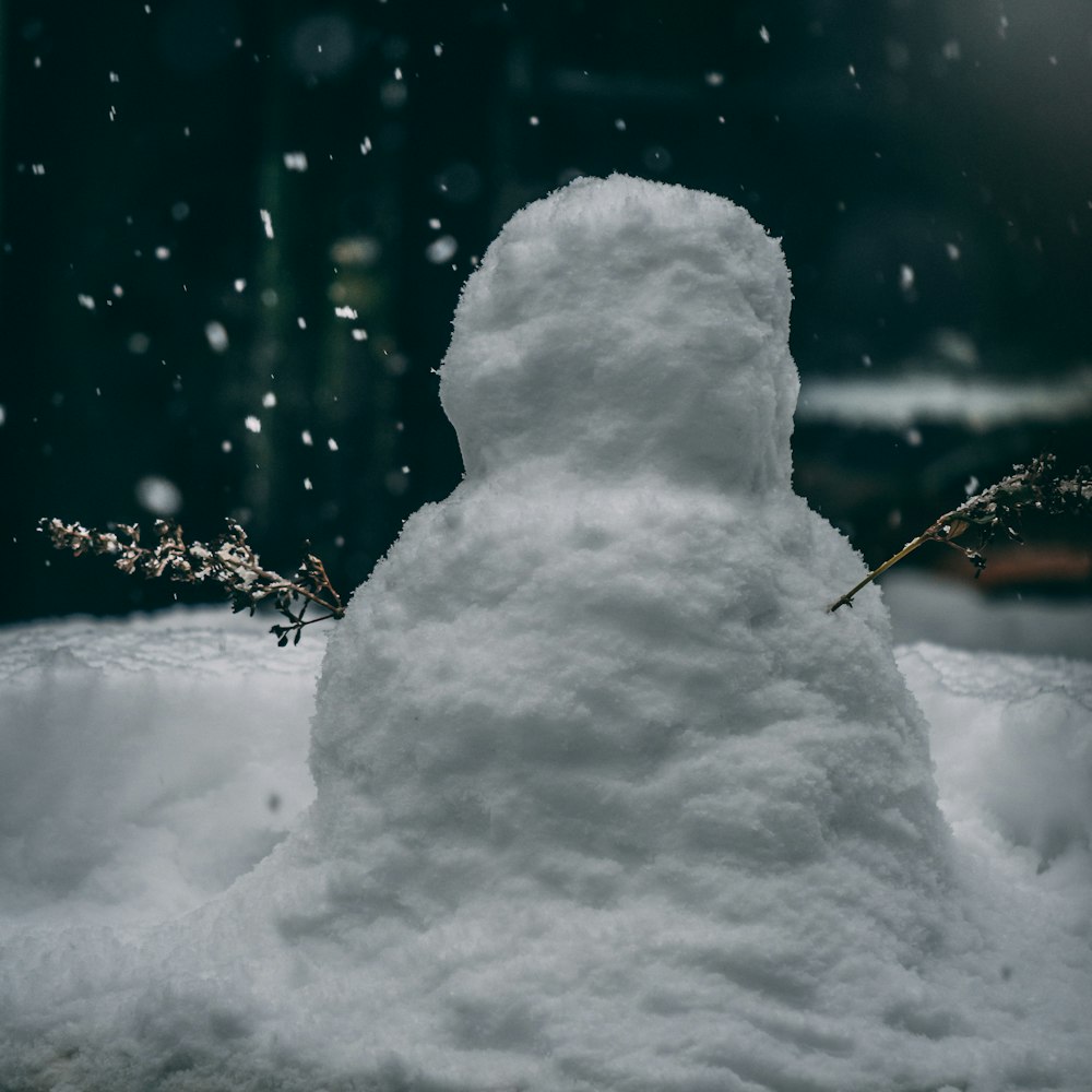 日中のクローズアップ撮影中の屋外雪だるま