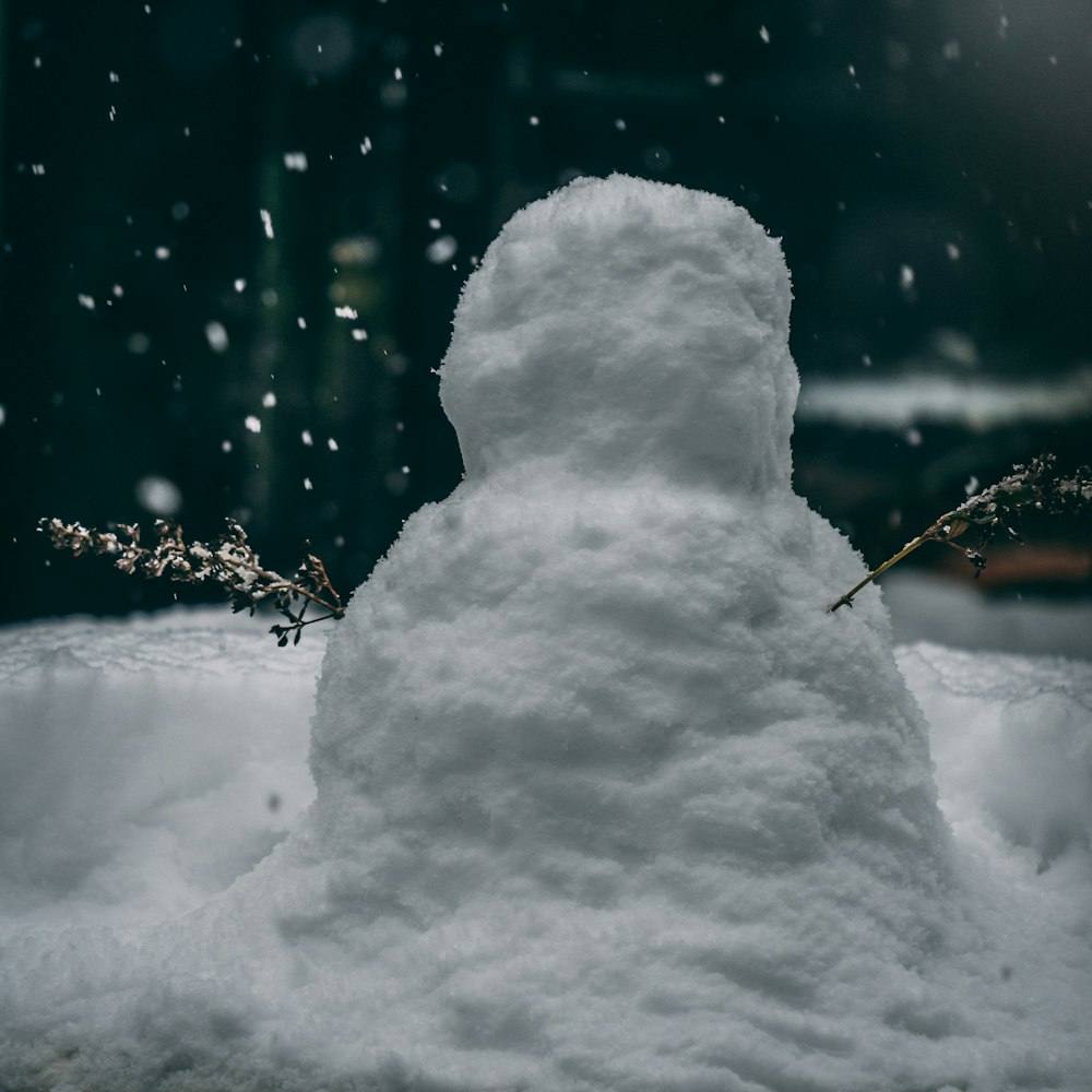 Muñeco de nieve al aire libre durante el día fotografía de primer plano