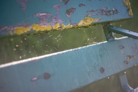 Close-up view of a weathered, teal wooden surface with patches of peeling paint and moss growth. A delicate spiderweb is visible between the wooden slats, highlighted by the sunlight.