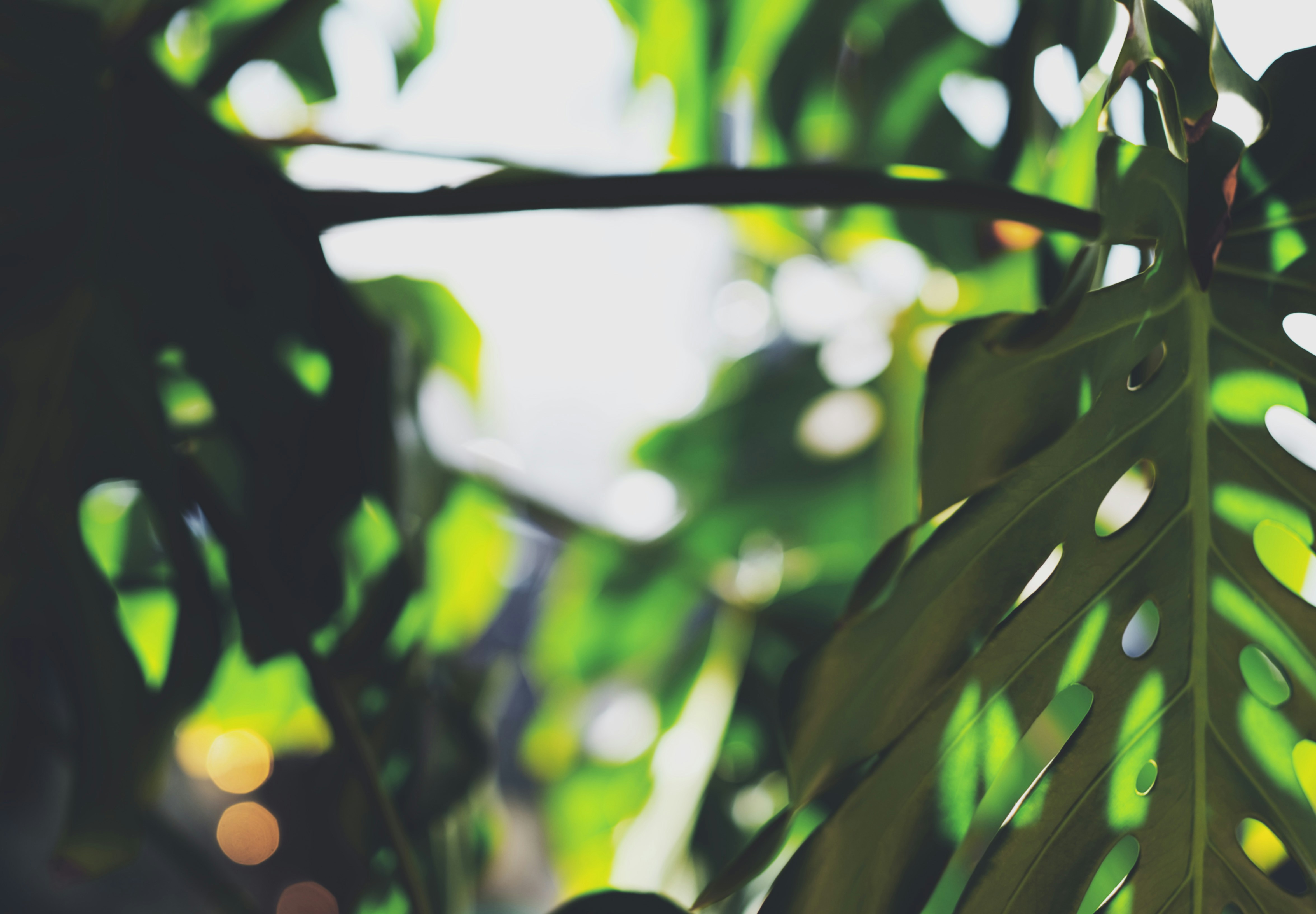 Photo by hellenhappy