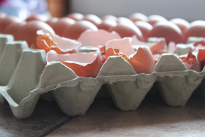 Close-up of freshly produced egg carton molds stacked in the production unit