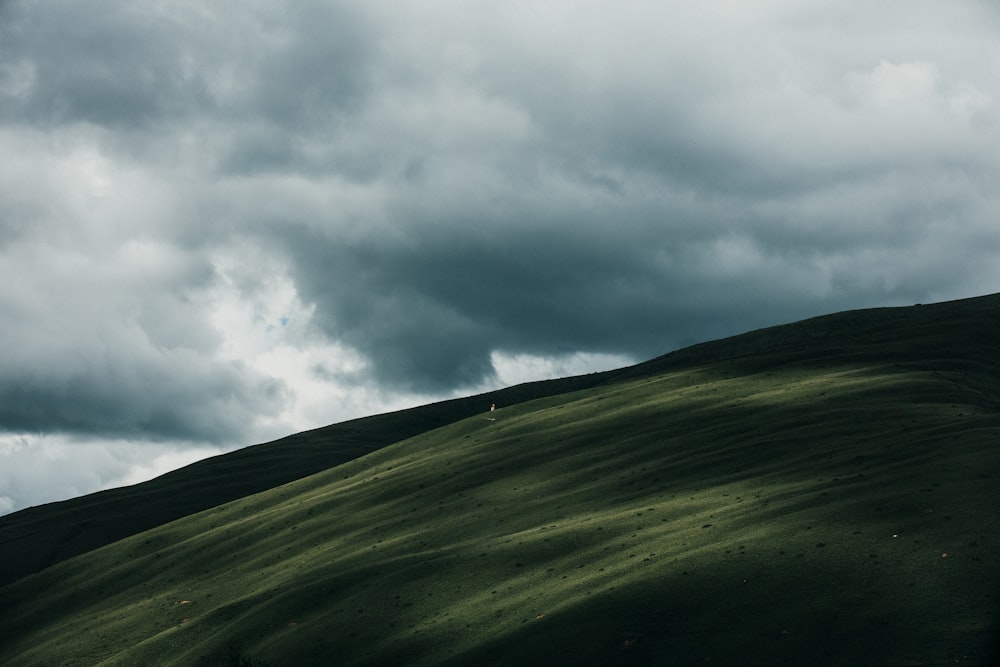 Download Free Wallpapers Mobile Desktop Unsplash