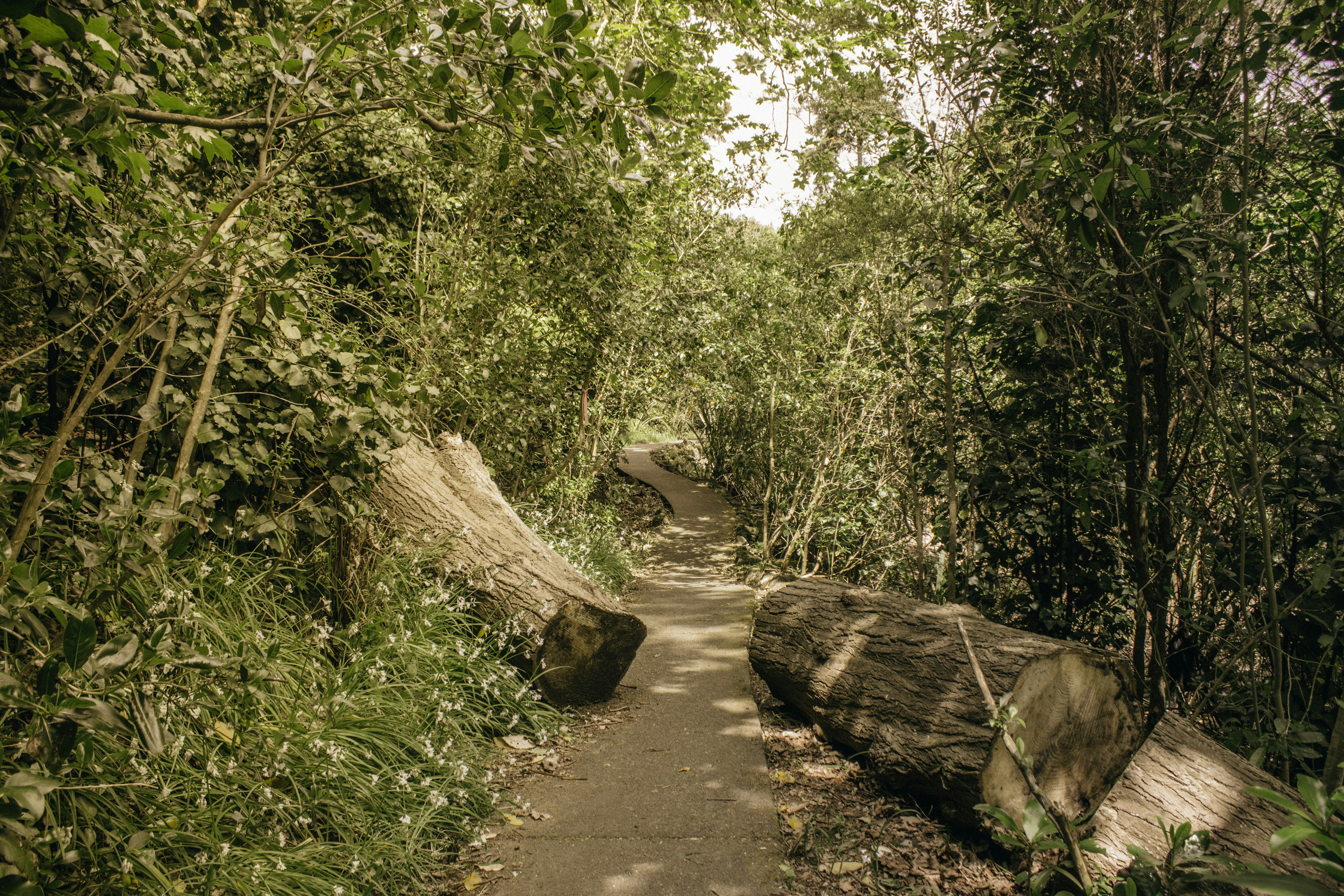 Photo by simontatephotography