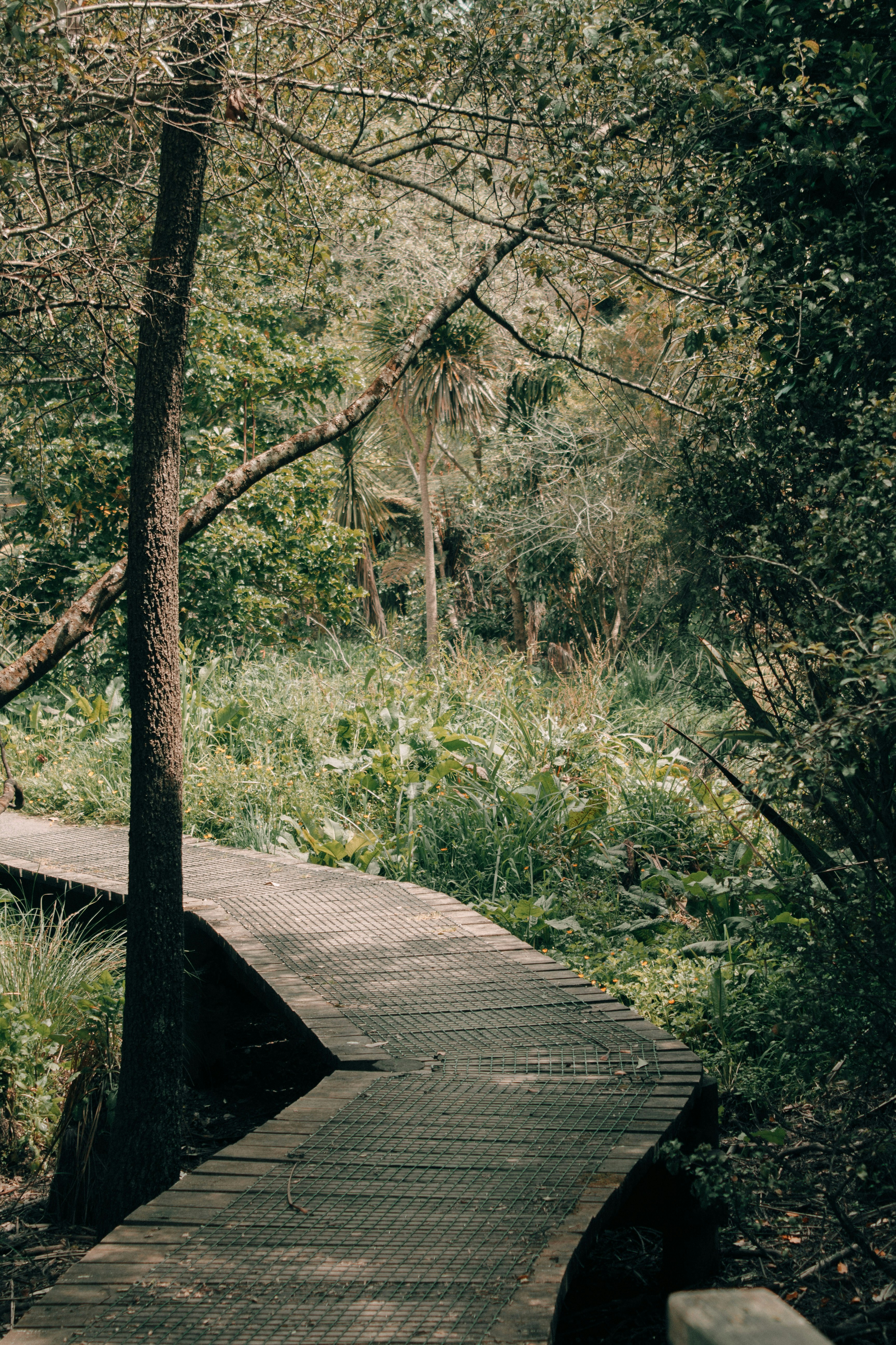 Photo by simontatephotography