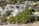 The image features a scenic coastal hillside with a series of modern, multi-story homes and villas nestled among lush green foliage. The architecture is sleek and contemporary with large glass windows and balconies that offer a view of the ocean. The hillside is densely packed with trees and shrubs, creating a verdant backdrop. At the forefront, there is a rocky beach with sand and a stone wall separating the properties from the shoreline.
