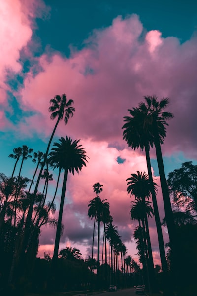 Los Angeles